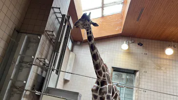 天王寺動物園に投稿された画像（2022/4/25）