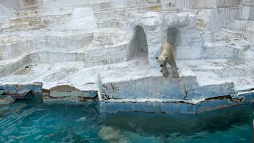天王寺動物園に投稿された画像（2022/4/25）