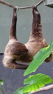 カワスイ 川崎⽔族館に投稿された画像（2022/4/25）