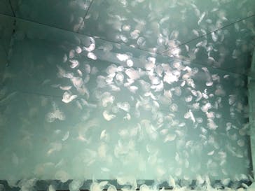 アクアワールド茨城県大洗水族館に投稿された画像（2022/4/25）