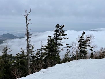 横手山・渋峠スキー場に投稿された画像（2022/4/25）