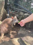 伊豆シャボテン動物公園に投稿された画像（2022/4/25）