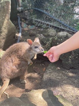 伊豆シャボテン動物公園に投稿された画像（2022/4/25）