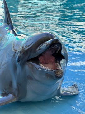 南知多ビーチランド＆南知多おもちゃ王国に投稿された画像（2022/4/25）