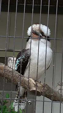 天王寺動物園に投稿された画像（2022/4/25）