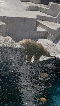 天王寺動物園に投稿された画像（2022/4/25）