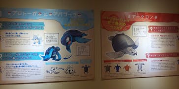 国立科学博物館　特別企画展「ポケモン化石博物館」に投稿された画像（2022/4/25）