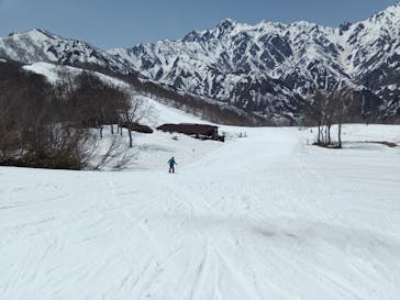 Hakuba47ウィンタースポーツパークに投稿された画像（2022/4/25）