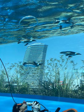 サンシャイン水族館に投稿された画像（2022/4/25）