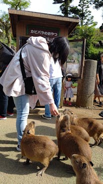 伊豆シャボテン動物公園に投稿された画像（2022/4/25）