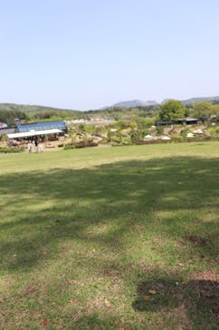 いばらきフラワーパークに投稿された画像（2022/4/25）