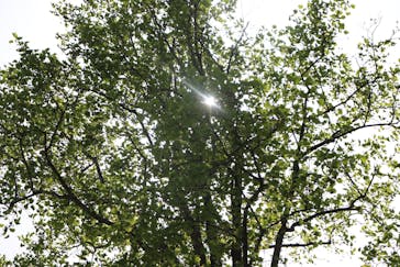 いばらきフラワーパークに投稿された画像（2022/4/25）