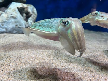 マリンワールド海の中道に投稿された画像（2022/4/25）