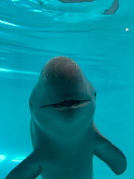 マリンワールド海の中道に投稿された画像（2022/4/25）