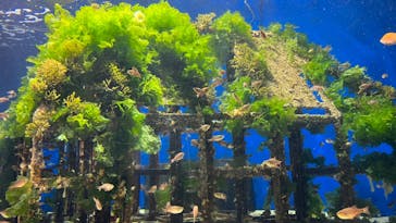 マリンワールド海の中道に投稿された画像（2022/4/25）