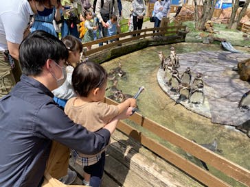 那須どうぶつ王国に投稿された画像（2022/4/25）