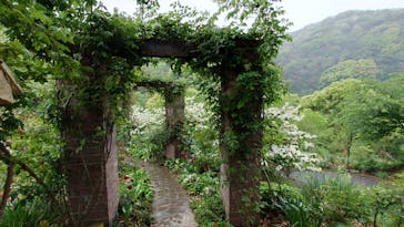 ACAO FORESTに投稿された画像（2022/4/25）