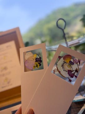 いばらきフラワーパークに投稿された画像（2022/4/25）