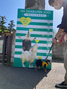 伊豆シャボテン動物公園に投稿された画像（2022/4/25）