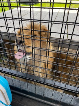 那須サファリパークに投稿された画像（2022/4/25）