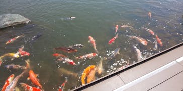 環境水族館アクアマリンふくしまに投稿された画像（2022/4/25）