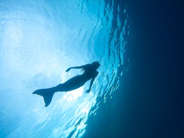 青の洞窟専門店　沖縄ダイビングショップ和に投稿された画像（2022/4/25）