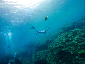 青の洞窟専門店　沖縄ダイビングショップ和に投稿された画像（2022/4/25）