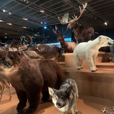 国立科学博物館に投稿された画像（2022/4/25）