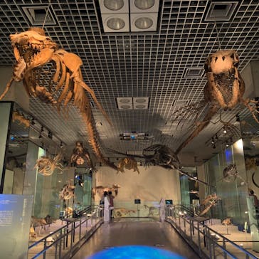 国立科学博物館に投稿された画像（2022/4/25）