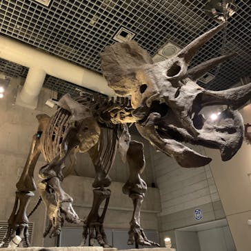 国立科学博物館に投稿された画像（2022/4/25）