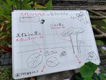 熱川バナナワニ園に投稿された画像（2022/4/25）