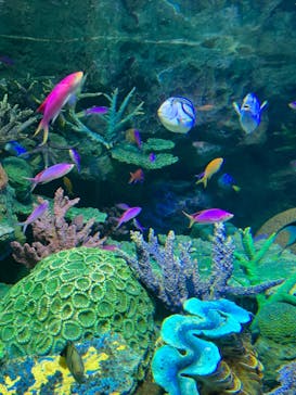 サンシャイン水族館に投稿された画像（2022/4/25）