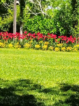 松阪農業公園ベルファームに投稿された画像（2022/4/25）