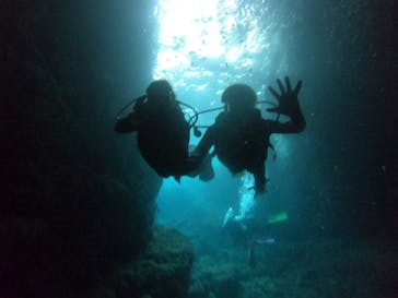 武藤潜水に投稿された画像（2022/4/25）