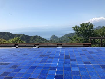 伊豆パノラマパークに投稿された画像（2022/4/26）