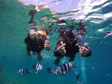 青の洞窟専門店　沖縄ダイビングショップ和に投稿された画像（2022/4/26）