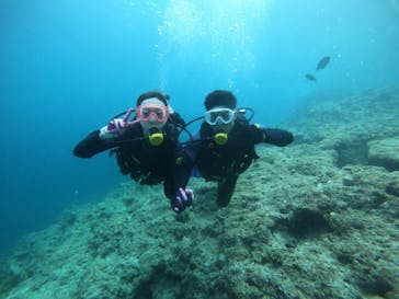 武藤潜水に投稿された画像（2022/4/26）