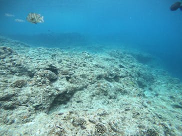 武藤潜水に投稿された画像（2022/4/26）