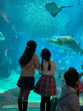 マリンワールド海の中道に投稿された画像（2022/4/26）