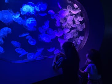 マリンワールド海の中道に投稿された画像（2022/4/26）