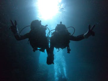 武藤潜水に投稿された画像（2022/4/26）