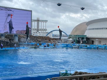 名古屋港水族館に投稿された画像（2022/4/26）