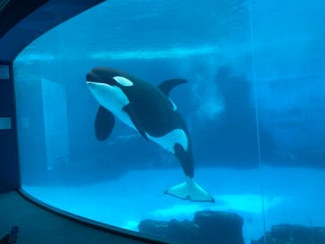名古屋港水族館に投稿された画像（2022/4/26）