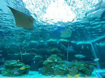 名古屋港水族館に投稿された画像（2022/4/26）