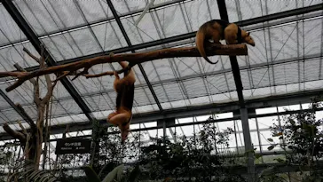 神戸どうぶつ王国に投稿された画像（2022/4/26）