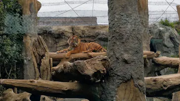 神戸どうぶつ王国に投稿された画像（2022/4/26）