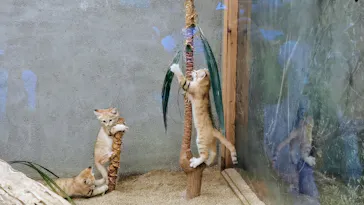 神戸どうぶつ王国に投稿された画像（2022/4/26）