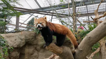 神戸どうぶつ王国に投稿された画像（2022/4/26）