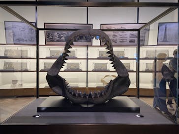 アクアワールド茨城県大洗水族館に投稿された画像（2022/4/26）