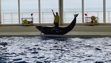 アクアワールド茨城県大洗水族館に投稿された画像（2022/4/26）